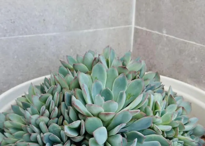 Sunset Ocean Mountain View 15 By-tenerife365 * Адехе